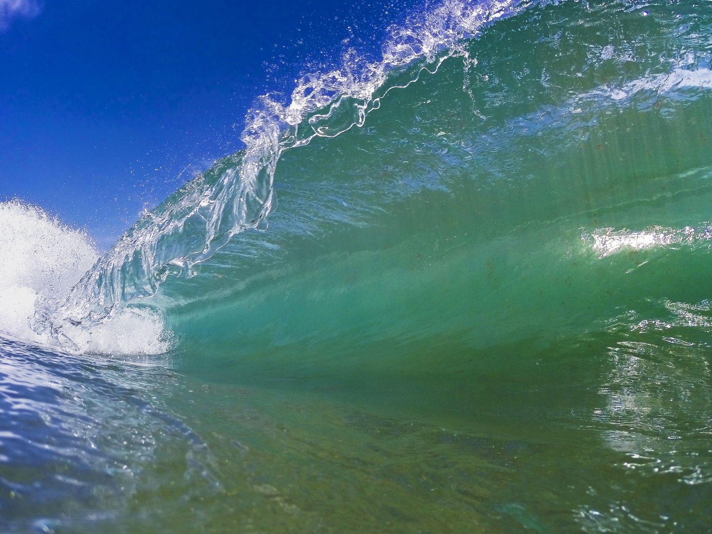 la cicer surf wave in Gran Canaria