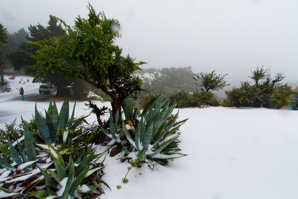 Snow in Gran Canaria in 2016