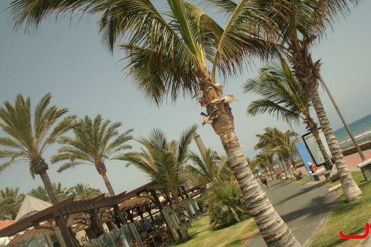 maspalomas-080