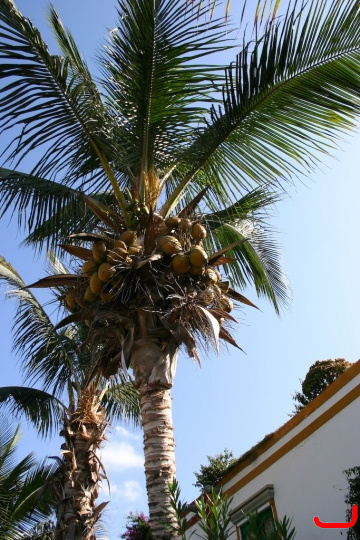 puerto_de_mogn-006