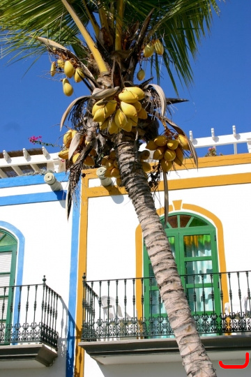 puerto_de_mogn-010