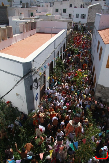 La Rama, 2008