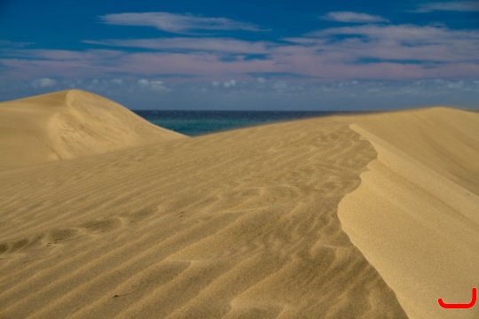maspalomas_dunes_and_beach_-_febr_2011_-050