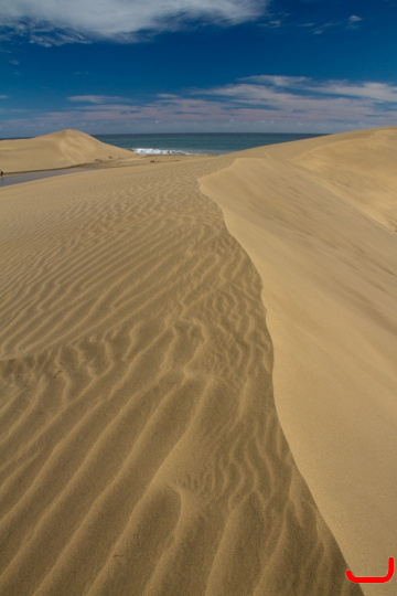 maspalomas_dunes_and_beach_-_febr_2011_-052