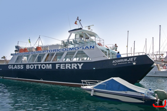 ferry-mogan-blue-bird-003