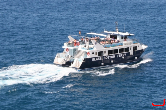 ferry-mogan-blue-bird-006