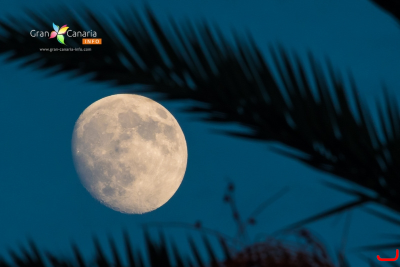 The moon over Gran Canaria_16