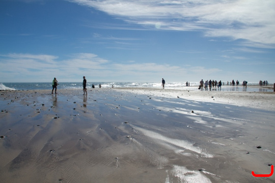 maspalomas_dunes_and_beach_-_febr_2011_-020