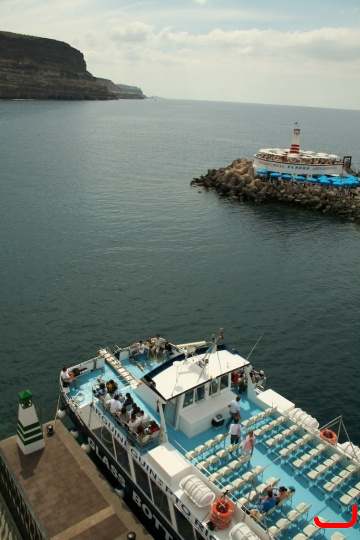 ferry-mogan-blue-bird-027