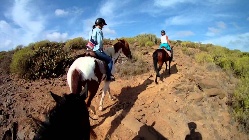Gran Canaria horse riding tour