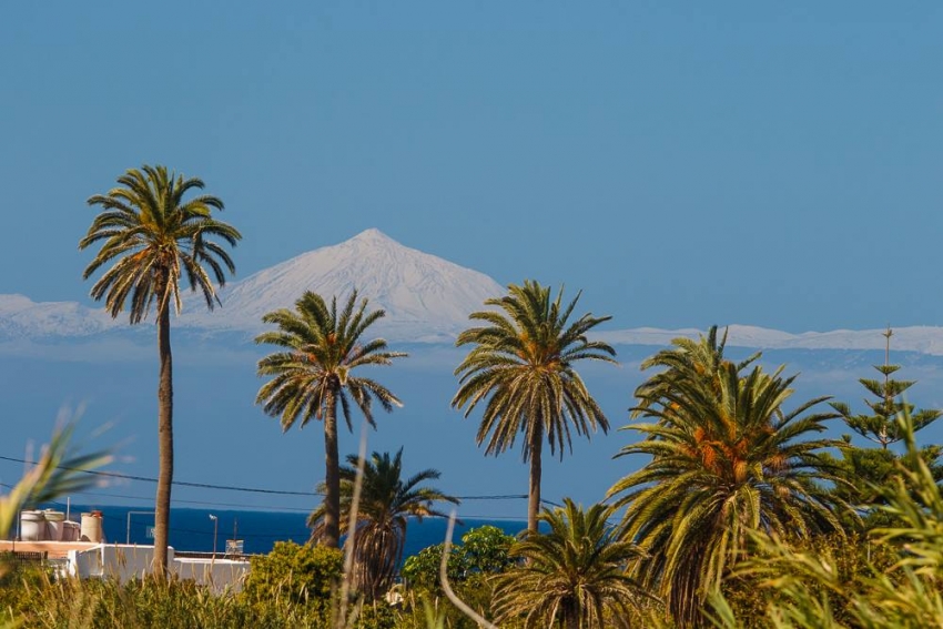 Soon, it may only cost 30 euros to fly to any other Canary Island from Gran Canaria