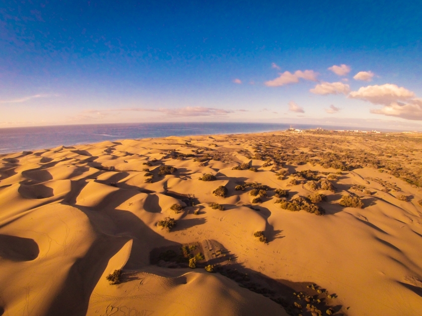 The Maspalomas dunes in south Gran Canaria