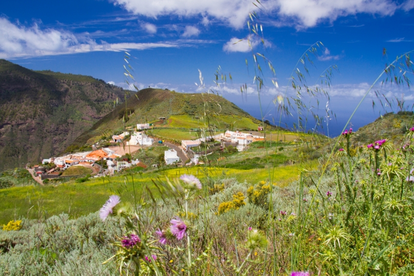 Fagajesto village and flowers on the GC 220 road in northwest Gran Canaria