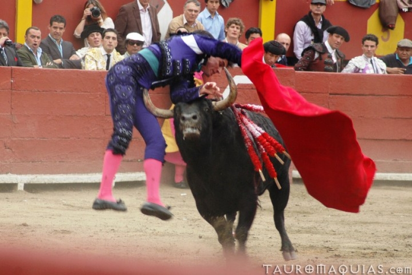 Bullfighting is illegal in the Canary Islands