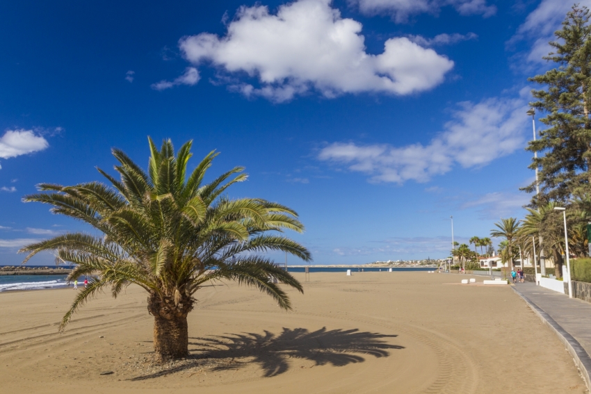 Canarian economy to grow in 2016