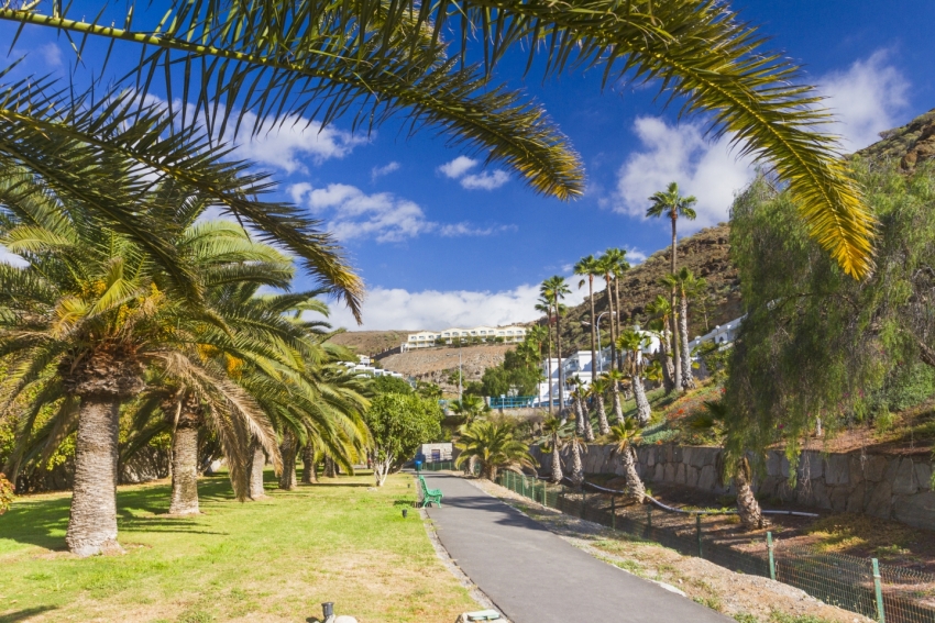A sunny week coming up in Gran Canaria